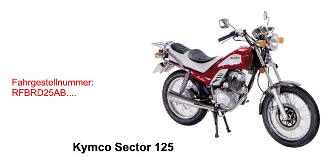 Sector 125