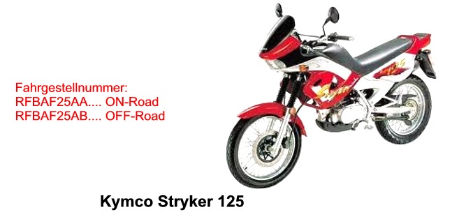 Stryker 125