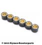 Variorollen 16x13 Malossi HT - 10.0 Gramm